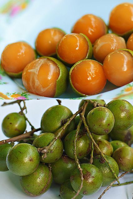 Schisandra Ingredient